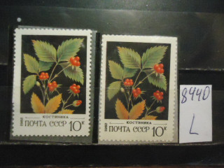 Фото марки СССР 1982г (на флуоресцентной бумаге, на простой бумаге) **
