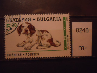 Фото марки Болгария 1997г