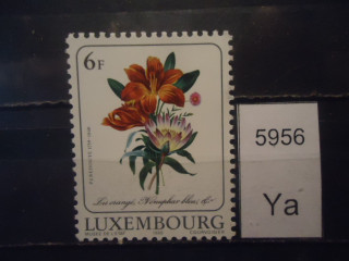 Фото марки Люксембург 1988г **
