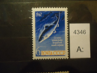 Фото марки СССР 1962г (1 м из серии) **