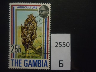 Фото марки Гамбия