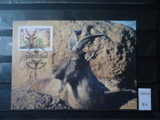 Фото марки Узбекистан почтовая карточка