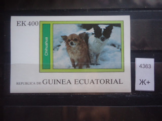 Фото марки Экваториальная Гвинея блок **