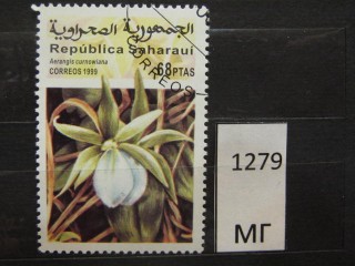 Фото марки Западная Сахара 1999г
