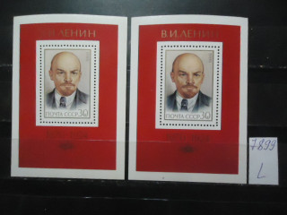 Фото марки СССР 1985г блоки (лицо бледное; лицо загорелое) **
