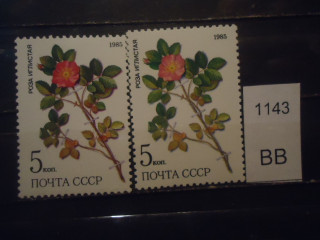 Фото марки СССР 1985г Разный оттенок цветка и зелени **