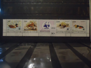 Фото марки Югославия сцепка с купоном