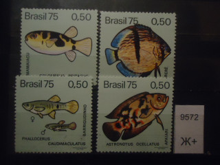 Фото марки Бразилия 1975г *