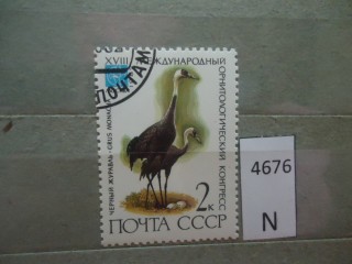 Фото марки СССР 1982г