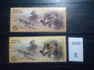 Фото марки СССР 1988г Разный оттенок фона и шерсти собак **