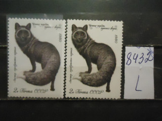 Фото марки СССР 1980г (на флуоресцентной бумаге, на простой бумаге) **