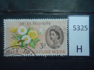 Фото марки Великобритания 1963г