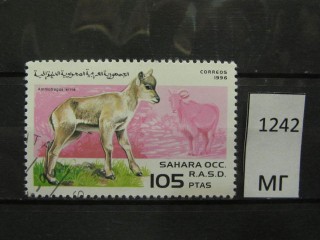Фото марки Западная Сахара 1996г