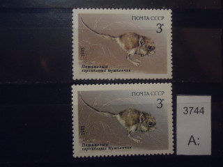 Фото марки СССР 1985г (разный оттенок фона и шерсти зверька; разный клей) **