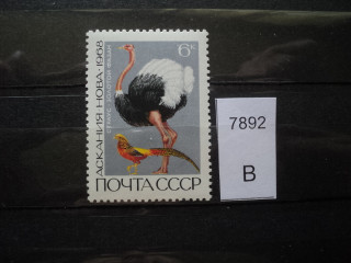 Фото марки СССР 1968г Прострел шеи страуса левее ноги **
