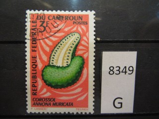 Фото марки Камерун 1967г
