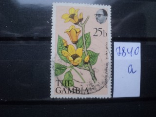 Фото марки Гамбия