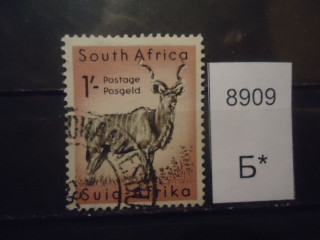 Фото марки Южная Африка 1954г