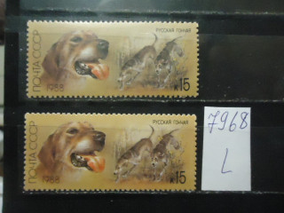 Фото марки СССР 1988г (разный оттенок фона, шерсти собак; разный клей) **