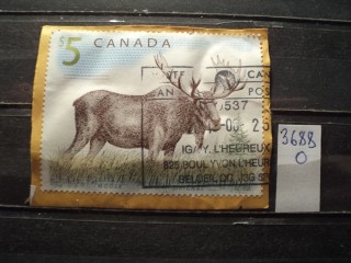 Фото марки Канада /вырезка из конверта/