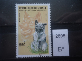 Фото марки Франц. Гвинея