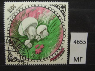 Фото марки Монголия 1985г