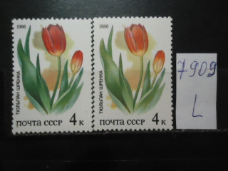 Фото марки СССР 1986г (разный оттенок тюльпана,тени) **