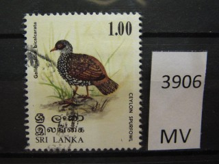 Фото марки Шри-Ланка 1979г