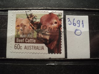Фото марки Австралия /вырезка из конверта /