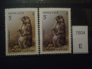 Фото марки СССР 1987г (разный оттенок фона и шерстки зверька, разный клей) **