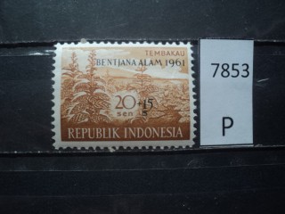 Фото марки Индонезия 1961г **