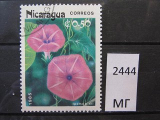 Фото марки Никарагуа 1985г