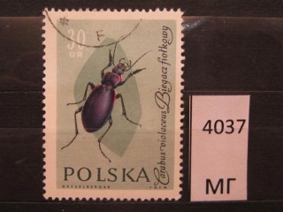 Фото марки Польша 1961г