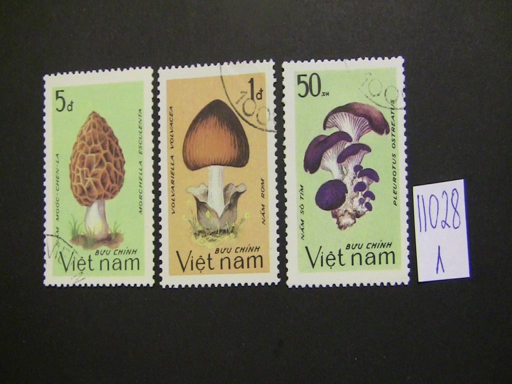 Caza En Vietnam [1983]