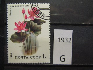 Фото марки СССР 1984г
