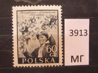 Фото марки Польша 1954г