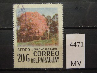 Фото марки Парагвай 1977г