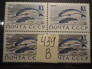 Фото марки СССР 1971г квартблок **