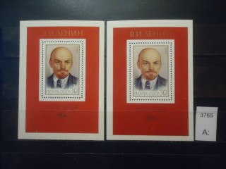 Фото марки СССР 1985г блоки (лицо бледное,лицо загорелое) **