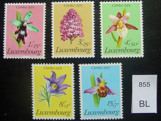 Фото марки цветы 1975г **