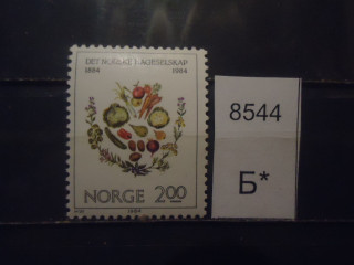 Фото марки Норвегия 1984г **