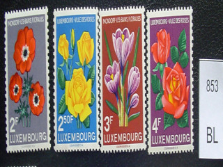 Фото марки цветы 1956г **