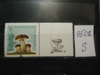Фото марки СССР 1964г с купоном **