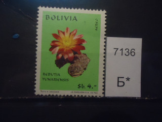 Фото марки Боливия 1971г *