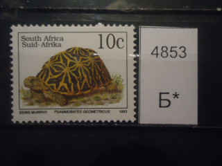 Фото марки Южная Африка 1993г **