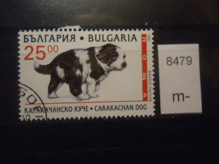 Фото марки Болгария 1997г