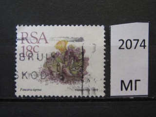 Фото марки Южная Африка 1989г