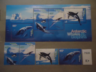 Фото марки Австралийская Антарктика 1995г **