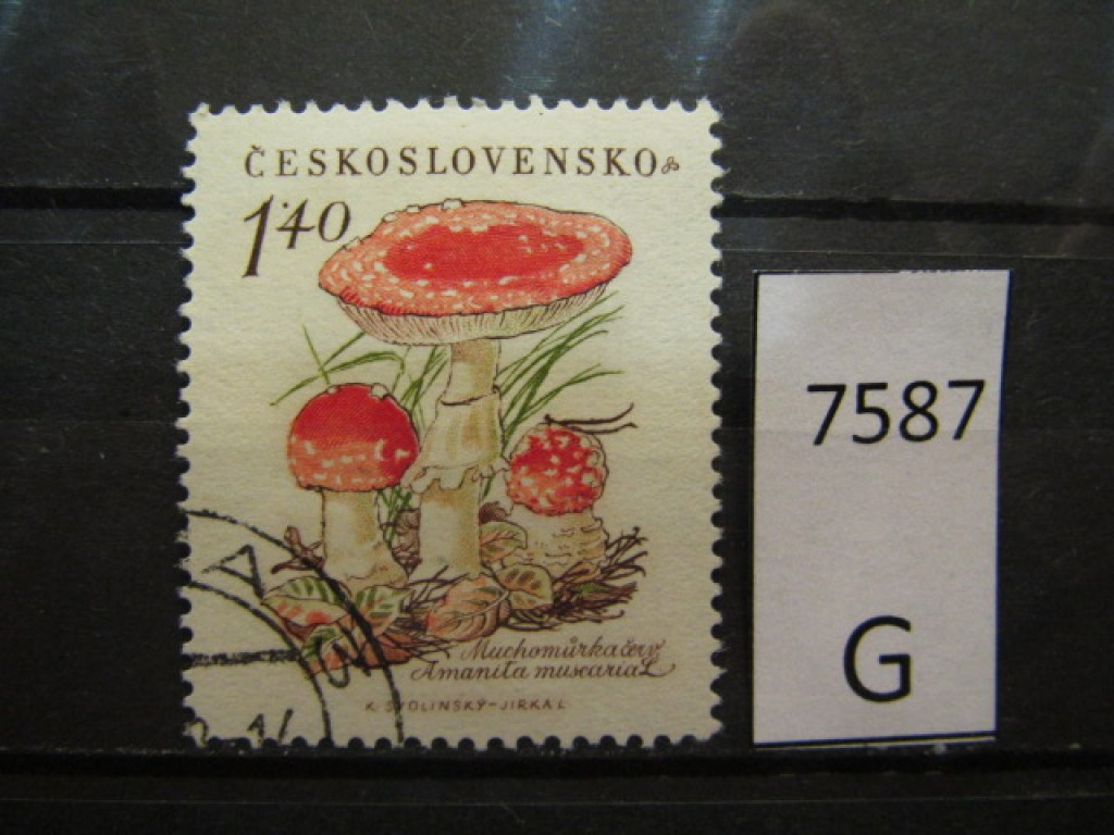 Фото марки Чехословакия 1958г