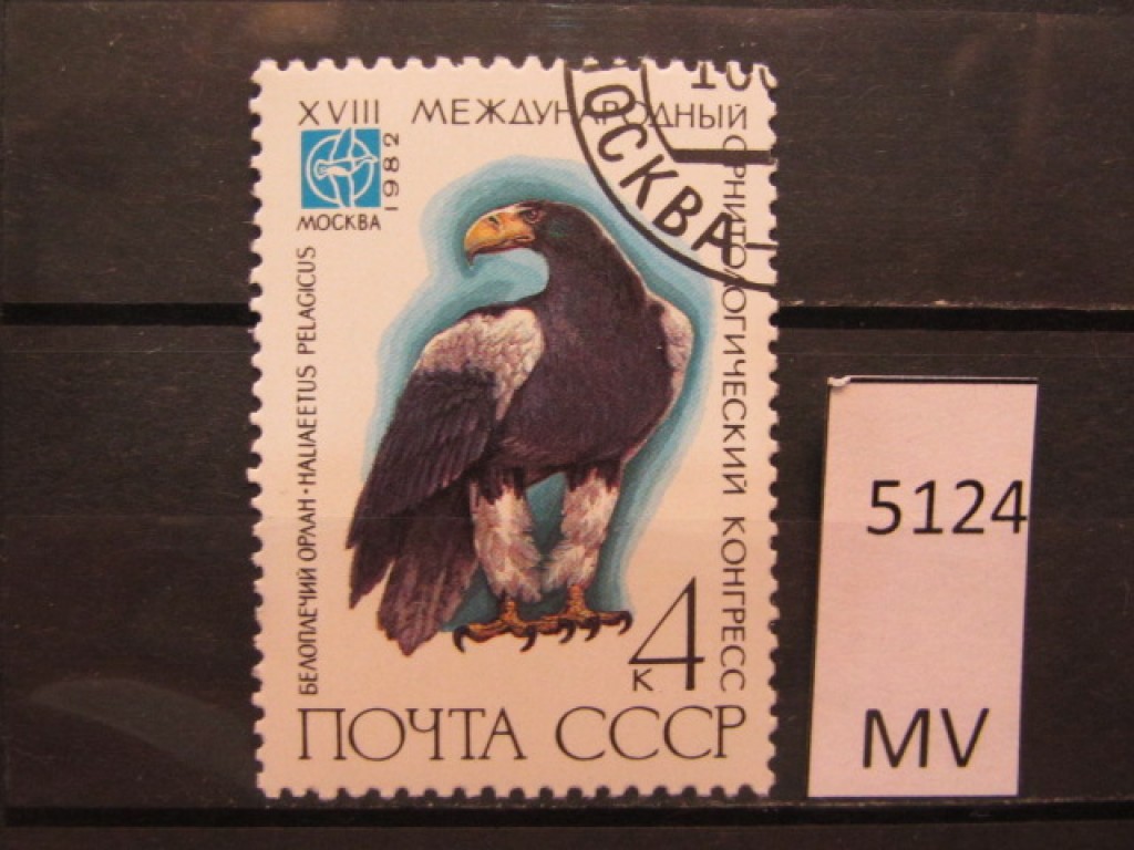 Фото марки СССР 1982г